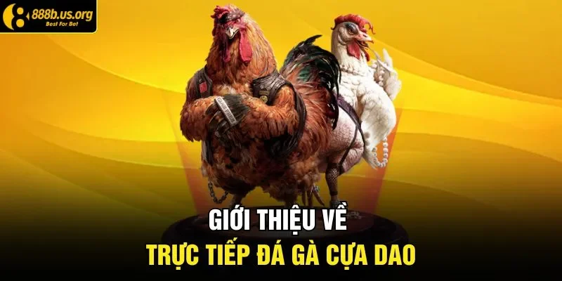 Giới thiệu về trực tiếp đá gà cựa dao